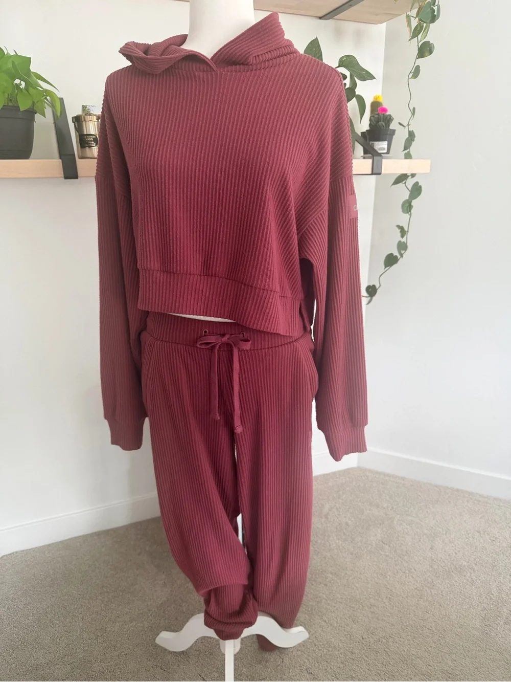 SET!! Alo Yoga Muse Ribbed Hoodie & Pants Set in Mauve
